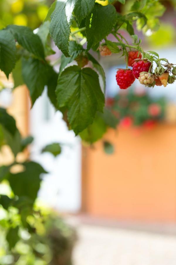 Gites De Charme Chez Christine Ottrott Esterno foto